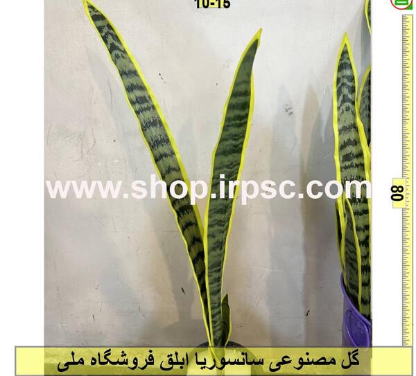 عکس گل سانسوریا مصنوعی