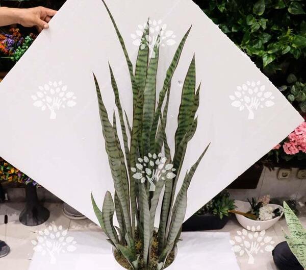 عکس گل سانسوریا مصنوعی