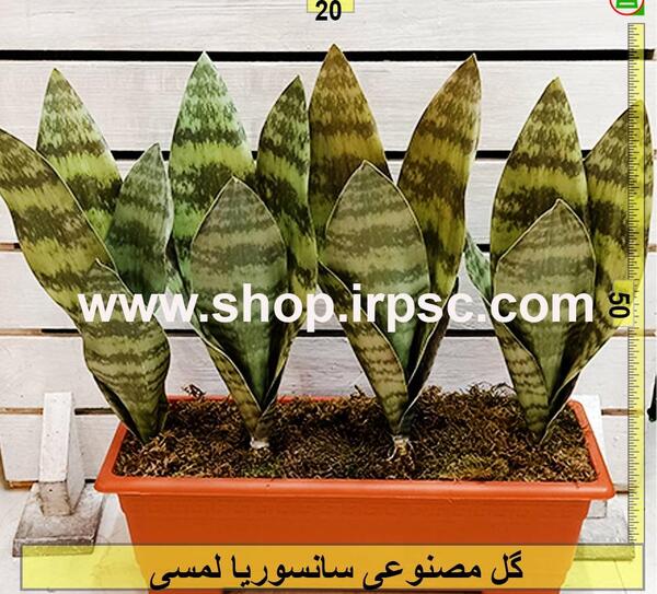 عکس گل سانسوریا مصنوعی