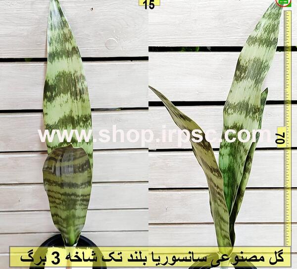 عکس گل سانسوریا مصنوعی