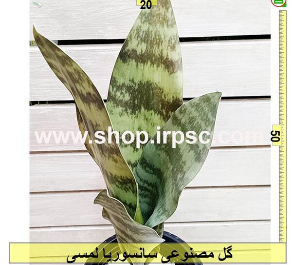 عکس گل سانسوریا مصنوعی