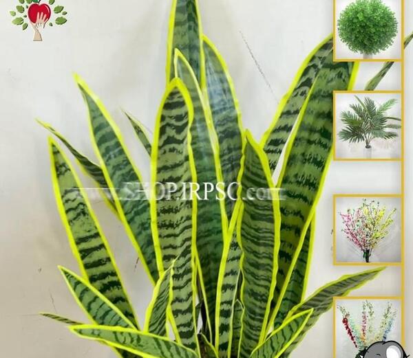 عکس گل سانسوریا مصنوعی