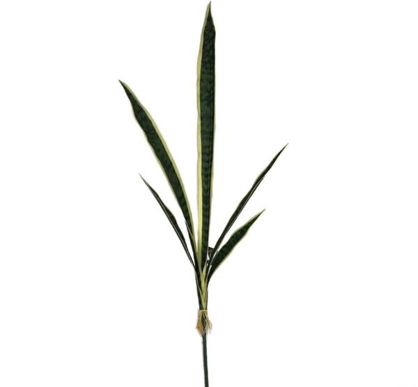 عکس گل سانسوریا مصنوعی