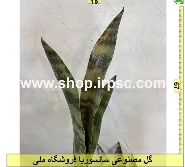 عکس گل سانسوریا مصنوعی
