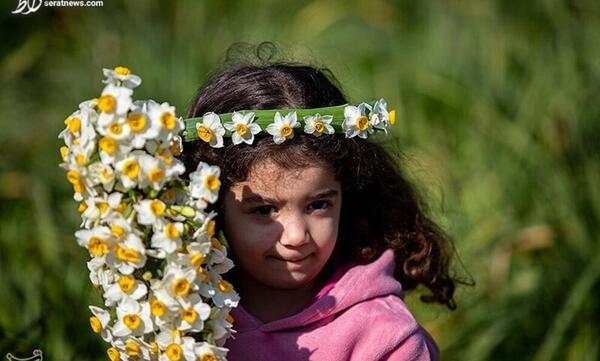 عکس دخترانه گل نرگس