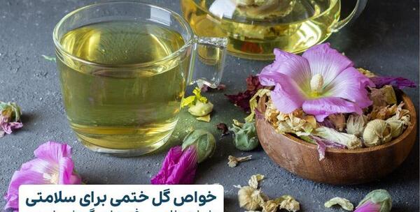 عکس گل ختمی بنفش