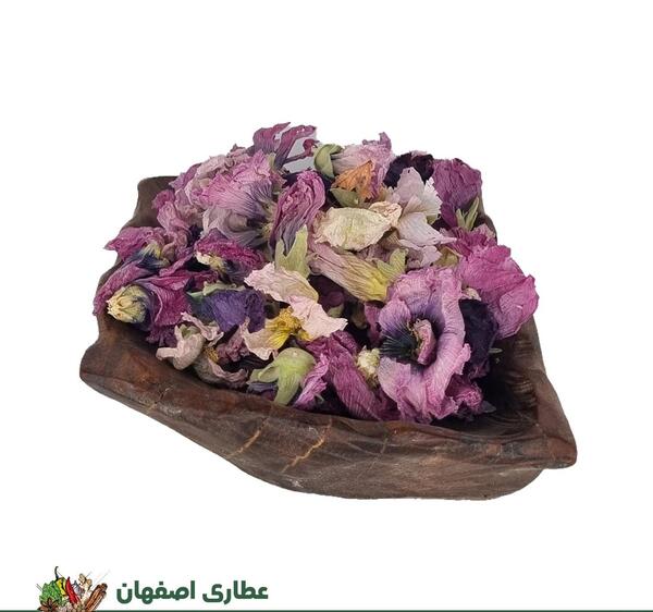 عکس گل ختمی بنفش