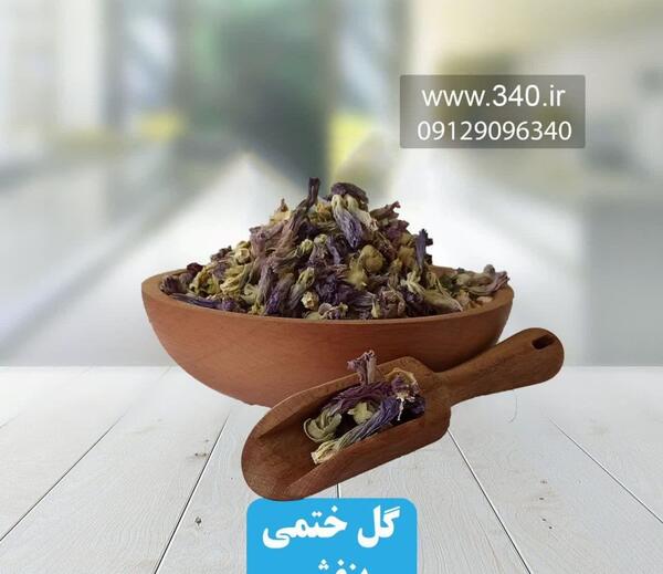 عکس گل ختمی بنفش