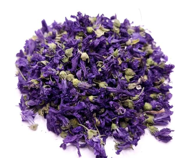 عکس گل ختمی بنفش