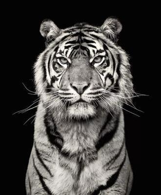 عکس سیاه سفید برای پس زمینه گوشی