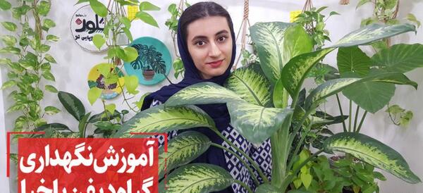 عکس گل دادن دیفن باخیا