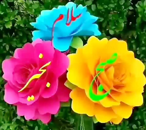 عکس گل با صبح بخیر