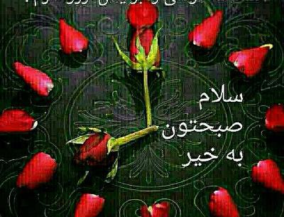 عکس گل با صبح بخیر