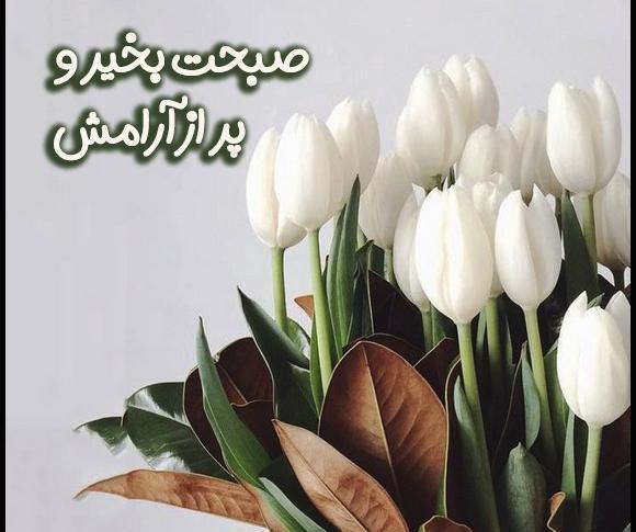 عکس گل با صبح بخیر