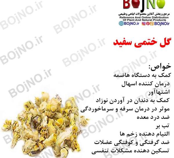 عکس گل ختمی خشک