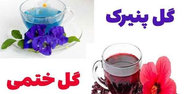 عکس گل ختمی خشک