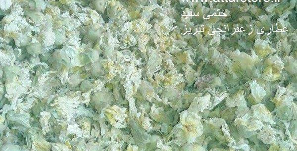 عکس گل ختمی خشک