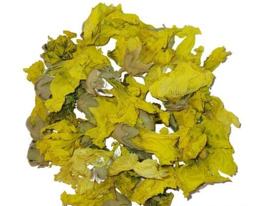 عکس گل ختمی خشک