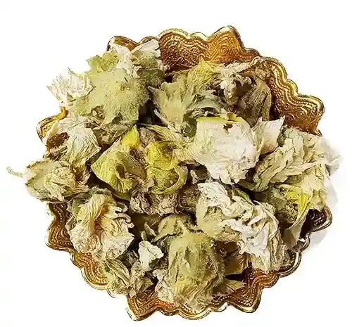 عکس گل ختمی خشک