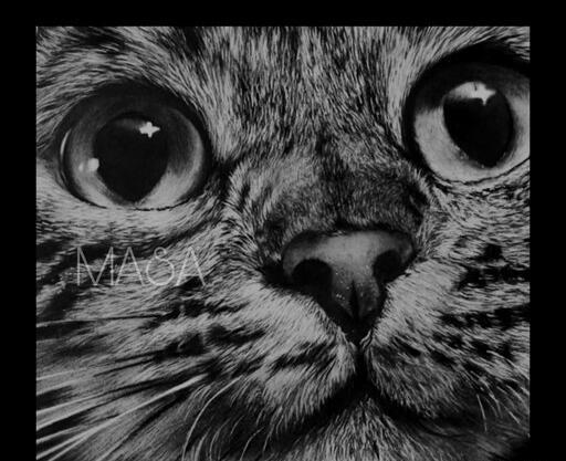 عکس حیوانات برای طراحی سیاه قلم