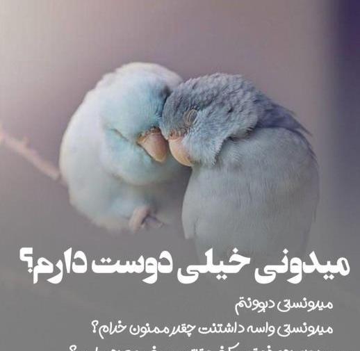 عکس های عاشقانه همسرم