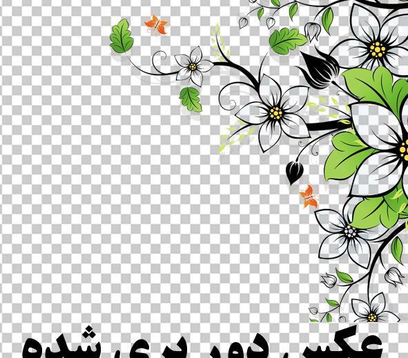 عکس حاشیه گل برای فتوشاپ