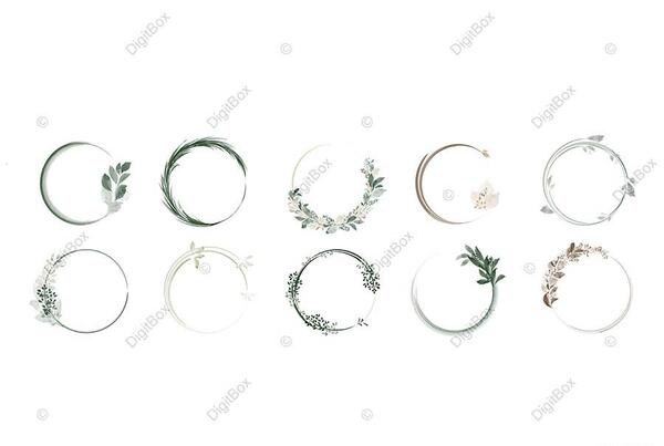 عکس حاشیه گل برای فتوشاپ
