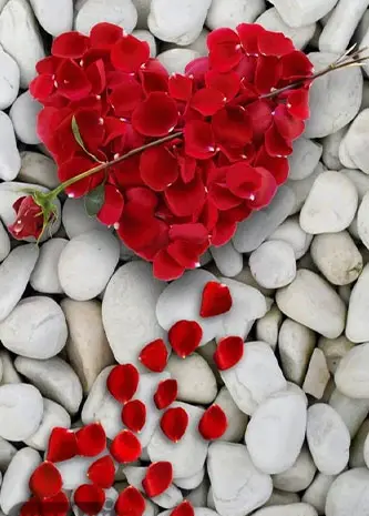 عکس گل قشنگ برای صفحه گوشی