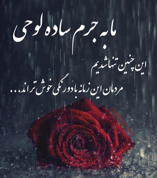 عکس پروفایل بارانی عاشقانه