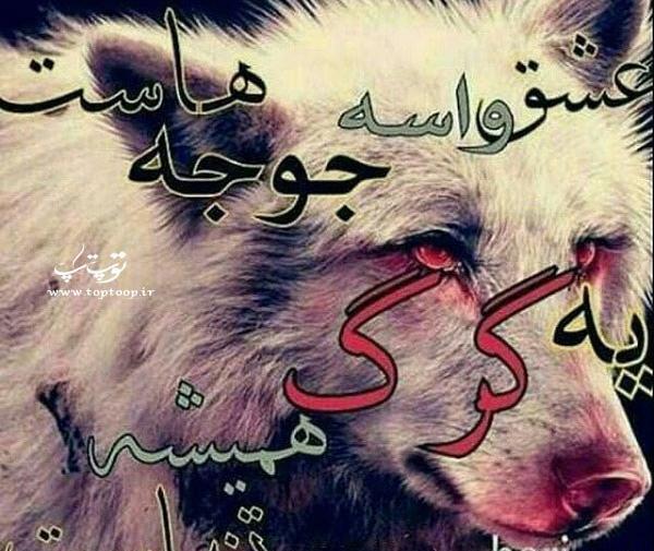 عکس نوشته گرگ لاتی