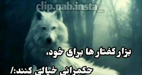 عکس نوشته گرگ لاتی