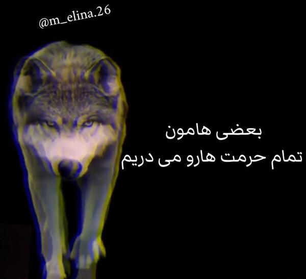 عکس نوشته گرگ لاتی