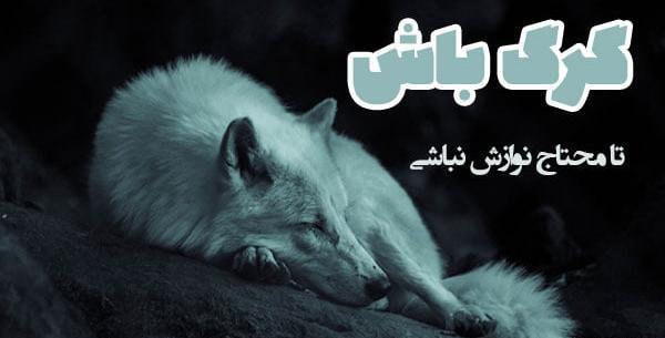 عکس نوشته گرگ لاتی