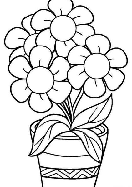 عکس گل و گلدان برای نقاشی