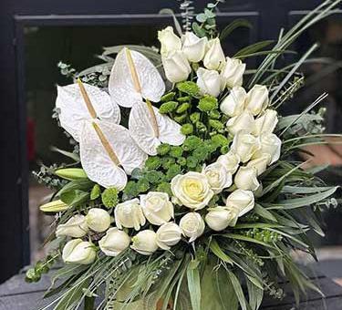 عکس گل خواستگاری برای پروفایل