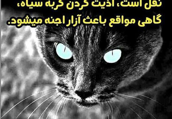 عکس گربه سیاه ترسناک