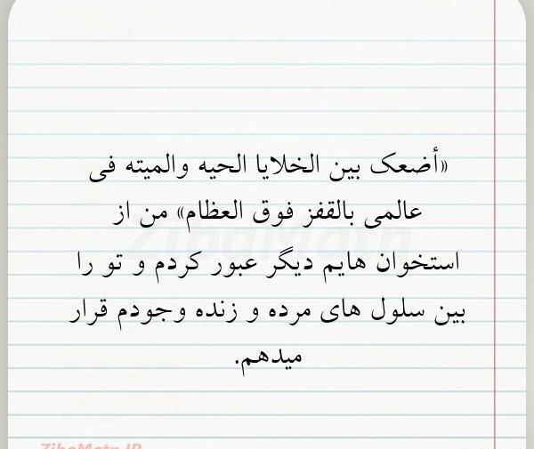 عکس نوشته های عربی تیکه دار