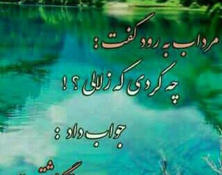 عکس گل نوشته دار غمگین