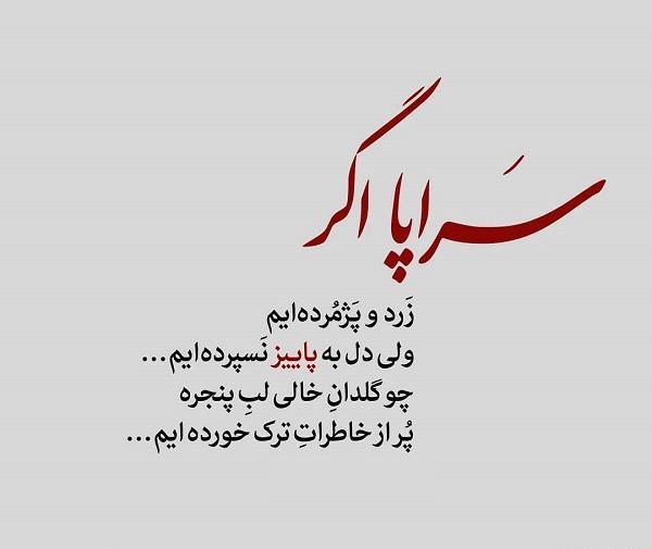 عکس گل نوشته دار غمگین
