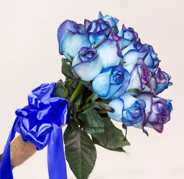 عکس گل رز آبی روشن