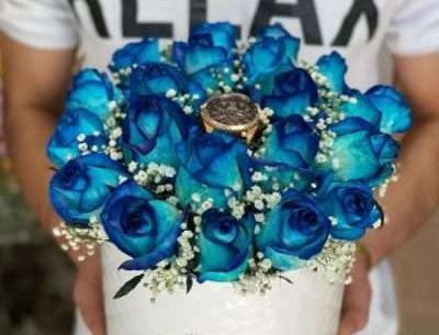 عکس گل رز آبی روشن