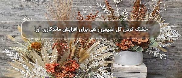 عکس گل میمون خشک شده