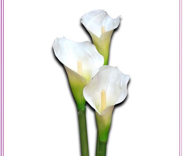 عکس گل شیپوری مصنوعی