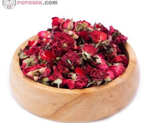 عکس گل نسترن قرمز