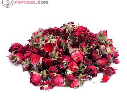 عکس گل نسترن قرمز