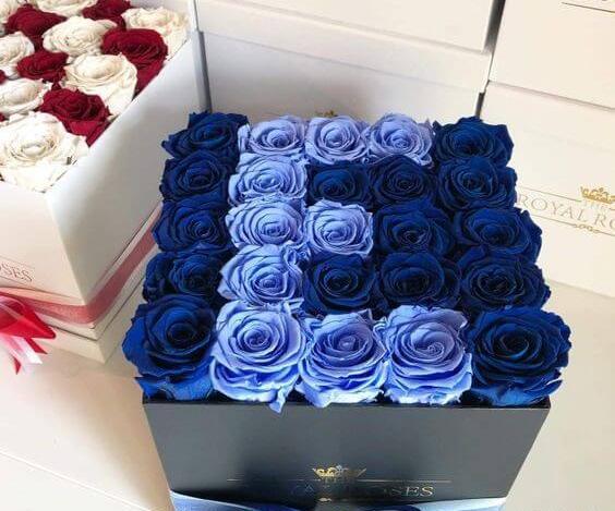 عکس پروفایل گل رز آبی و قرمز