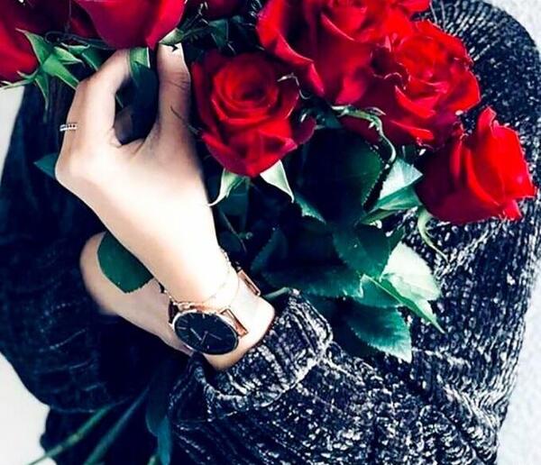 عکس پروفایل گل رز آبی و قرمز