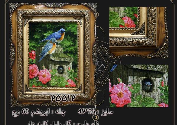 عکس از گل و بلبل