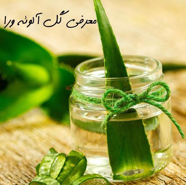 عکس انواع گل آلوورا