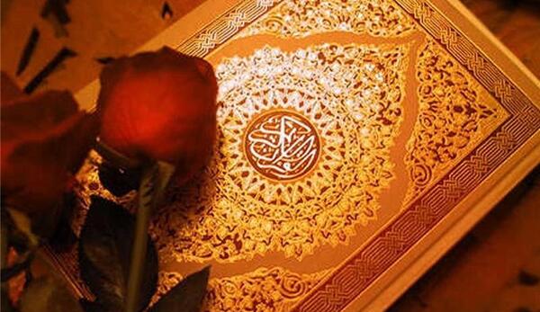 عکس گل رزق و روزی